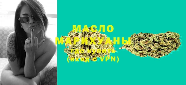 хмурый Арсеньев