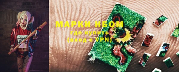 хмурый Арсеньев